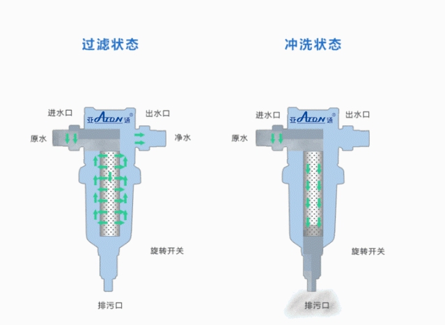 圖片 9_compressed.jpg